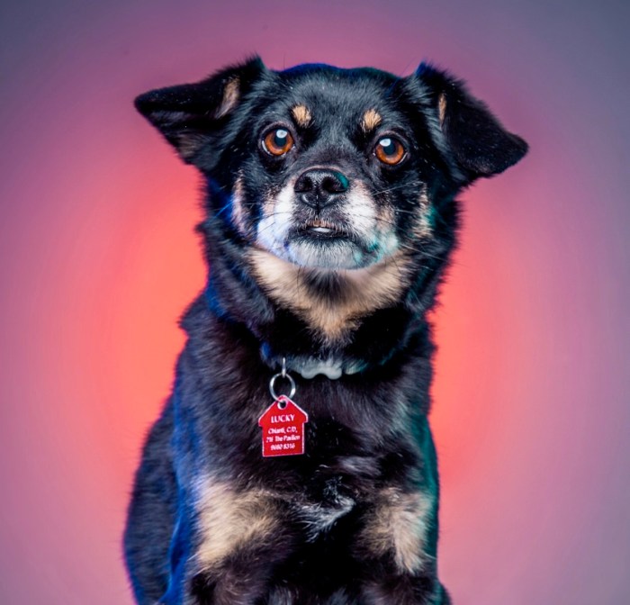 1304FF58-A014-4F01-921F-334D9F9AD3BE